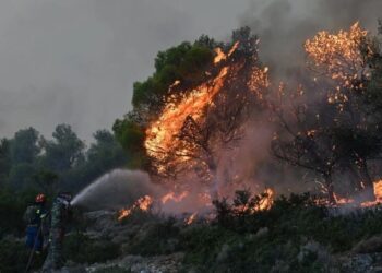 Φωτιά στη Θάσο: Κεραυνοί άναψαν δύο διαφορετικές εστίες – Στη μάχη τα εναέρια μέσα