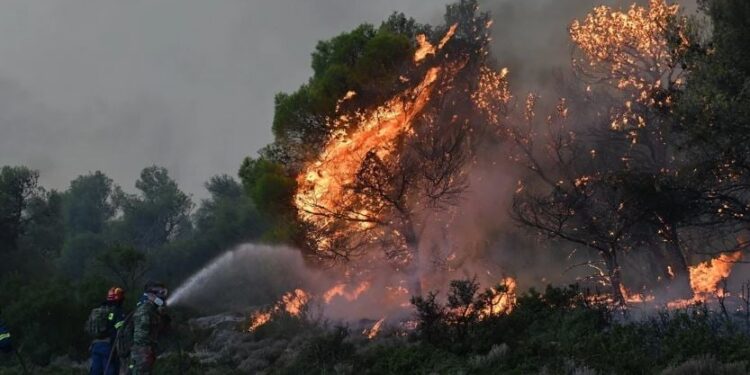 Alldaynews.gr Φωτιά στη Θάσο: Κεραυνοί άναψαν δύο διαφορετικές εστίες – Στη μάχη τα εναέρια μέσα