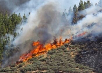 Φωτιά στην Εύβοια