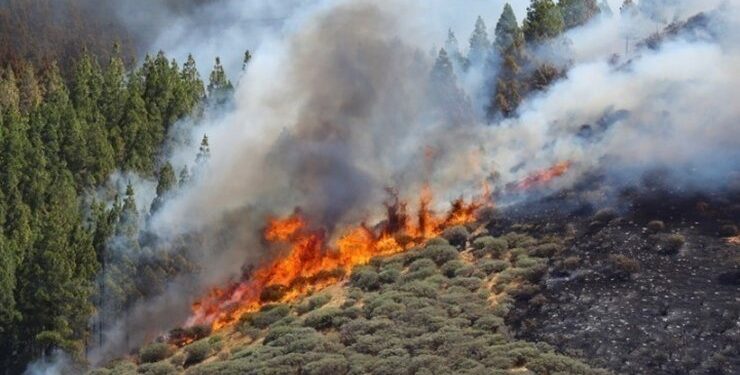 Φωτιά στην Εύβοια