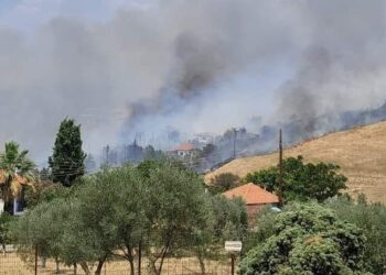 Alldaynews.gr Θεσσαλονίκη: Φωτιά ανάμεσα σε Τρίλοφο και Πλαγιάρι – Ήχησε το 112