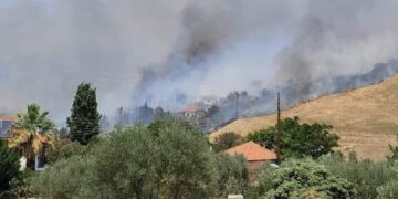 Θεσσαλονίκη: Φωτιά ανάμεσα σε Τρίλοφο και Πλαγιάρι – Ήχησε το 112