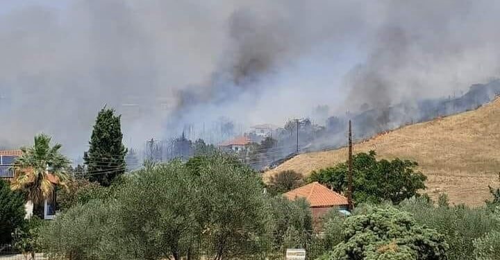 Θεσσαλονίκη: Φωτιά ανάμεσα σε Τρίλοφο και Πλαγιάρι – Ήχησε το 112