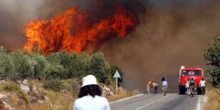 Alldaynews.gr Φωτιά στο Σοφικό Κορινθίας: Πυροσβέστης έπαθε καρδιακό επεισόδιο και διασωληνώθηκε – Διακομίζεται σε νοσοκομείο της Αττικής