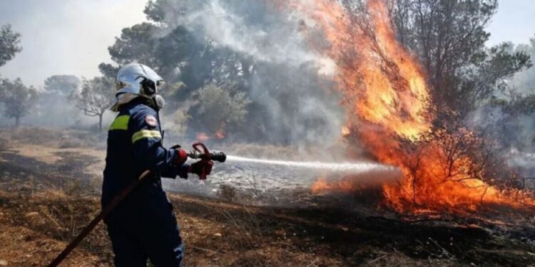 Alldaynews.gr Φωτιά στις Σέρρες: Στη μάχη με τις φλόγες 2 αεροσκάφη και 2 ελικόπτερα.