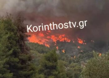Alldaynews.gr Νέα μεγάλη φωτιά τώρα – Συναγερμός στην πυροσβεστική: Διπλό πύρινο μέτωπο – Τραυματίστηκε πυροσβέστης (φωτο, video)