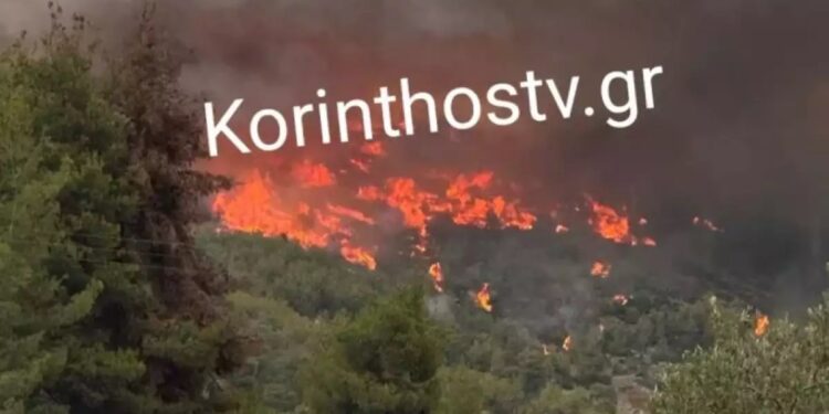 Alldaynews.gr Νέα μεγάλη φωτιά τώρα – Συναγερμός στην πυροσβεστική: Διπλό πύρινο μέτωπο – Τραυματίστηκε πυροσβέστης (φωτο, video)