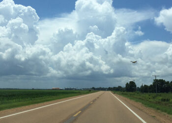 Έψαχναν το 12μηνών μωρό στο νερό & το βρήκαν να μπουσουλάει στην άκρη της εθνικής οδού – Νεκρό το 4χρονο αδελφάκι του