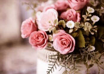 Σε ποια καλοκαιρινά λουλούδια θα επενδύσουμε φέτος;