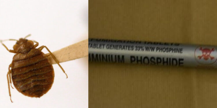 Αδιανόητο: 11χρονη πέθανε από φάρμακο που έβαλε η γειτόνισσά της για τους κοριούς