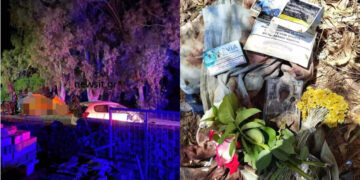 Alldaynews.gr Δύο φίλοι έχασαν τη ζωή τους – «Χάθηκαν δύο παληκάρια, ο δρόμος είναι καρμανιόλα» – Συγκλονίζουν οι προσωπικές ιστορίες τους