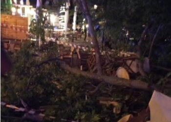 Alldaynews.gr Σε πολύ κρίσιμη κατάσταση 40χρονη η οποία τραυματίστηκε από πλάτανο που έπεσε σε δύο μαγαζιά