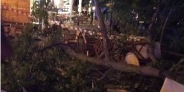 Σε πολύ κρίσιμη κατάσταση 40χρονη η οποία τραυματίστηκε από πλάτανο που έπεσε σε δύο μαγαζιά