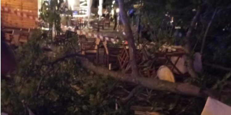 Σε πολύ κρίσιμη κατάσταση 40χρονη η οποία τραυματίστηκε από πλάτανο που έπεσε σε δύο μαγαζιά