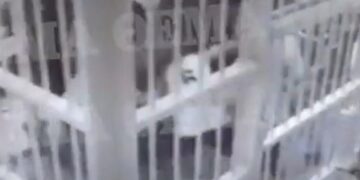 Καρέ – καρέ η αιματηρή συμπλοκή στις φυλακές Κορυδαλλού που οδήγησε στη δολοφονία του 35χρονου Αλβανού