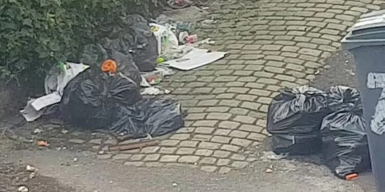 Alldaynews.gr Έφαγαν πρόστιμο 1.400 ευρώ επειδή μάζεψαν τα σκουπίδια έξω από το σπίτι τους – «Και αρουραίους να δούμε, δεν θα βοηθήσουμε ξανά»