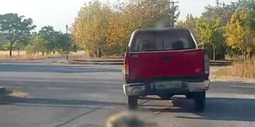 Βρέθηκε, Συνελήφθη και Διώκεται για κακούργημα ο οδηγός που έσερνε σκύλο με αγροτικό