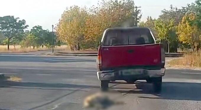 Βρέθηκε, Συνελήφθη και Διώκεται για κακούργημα ο οδηγός που έσερνε σκύλο με αγροτικό