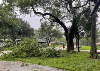 Απίστευτη Τραγωδία: Νεκρό βρέφος 2 μηνών – Κλαδί έσπασε και έπεσε πάνω στο καροτσάκι του