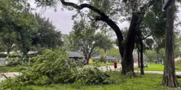 Alldaynews.gr Απίστευτη Τραγωδία: Νεκρό βρέφος 2 μηνών – Κλαδί έσπασε και έπεσε πάνω στο καροτσάκι του