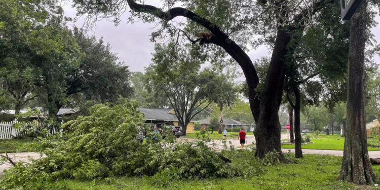 Alldaynews.gr Απίστευτη Τραγωδία: Νεκρό βρέφος 2 μηνών – Κλαδί έσπασε και έπεσε πάνω στο καροτσάκι του