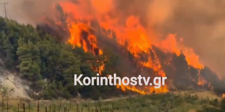 Ανεξέλεγκτη φωτιά τώρα στην Κορινθία: 140 πυροσβέστες, 11 αεροσκάφη και 5 ελικόπτερα στη μάχη με τις φλόγες
