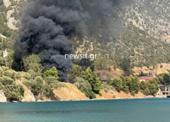 Φορτηγό έπεσε σε γκρεμό στα Άσπρα Σπίτια και έπιασε φωτιά, νεκρός ο οδηγός