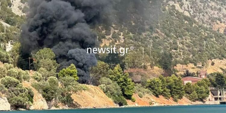 Alldaynews.gr Φορτηγό έπεσε σε γκρεμό στα Άσπρα Σπίτια και έπιασε φωτιά, νεκρός ο οδηγός