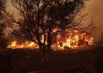 Κάτοικος Βαρνάβα Αττικής μιλάει για την φωτιά