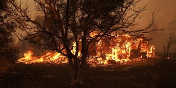 Alldaynews.gr Κάτοικος Βαρνάβα Αττικής μιλάει για την φωτιά