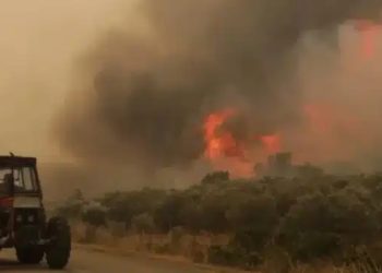 Alldaynews.gr Εφιάλτης δίχως τέλος: Ξέσπασε πριν λίγο ξανά μεγάλη και επικίνδυνη φωτιά – Καίγεται το δάσος μεγάλης πόλης της Ελλάδας