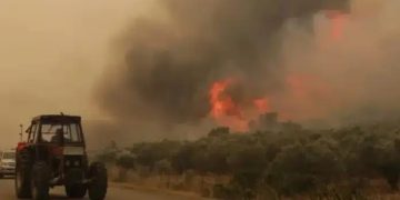 Alldaynews.gr Εφιάλτης δίχως τέλος: Ξέσπασε πριν λίγο ξανά μεγάλη και επικίνδυνη φωτιά – Καίγεται το δάσος μεγάλης πόλης της Ελλάδας