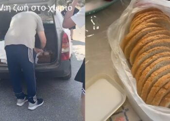 Alldaynews.gr Έτσι αγοράζουν ψωμί στο χωριό: «Έρχεται το αμάξι, πατάει κόρνα και…» – Το viral βίντεο