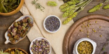 Alldaynews.gr Τα βότανα που βοηθούν στη δυσκοιλιότητα