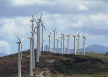 Εγκρίθηκε τελικά μία ακόμα αναδάσωση – Άνοιξε ο δρόμος για το αιολικό γίγας στην Εύβοια