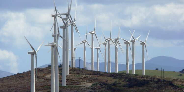Alldaynews.gr Εγκρίθηκε τελικά μία ακόμα αναδάσωση – Άνοιξε ο δρόμος για το αιολικό γίγας στην Εύβοια