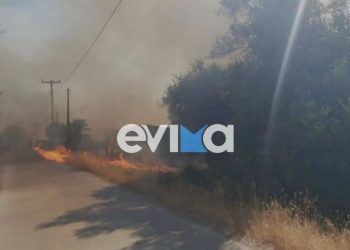 Έκτακτο μεγάλη φωτιά τώρα – Καίγεται ξανά η Εύβοια – Οι φλόγες έχουν περικυκλώσει σπίτια – Συγκλονιστικό βίντεο