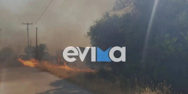 Alldaynews.gr Έκτακτο μεγάλη φωτιά τώρα – Καίγεται ξανά η Εύβοια – Οι φλόγες έχουν περικυκλώσει σπίτια – Συγκλονιστικό βίντεο