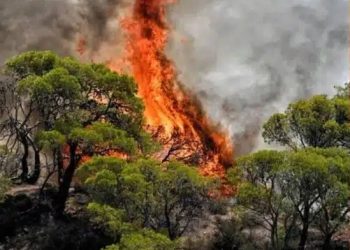 Alldaynews.gr Φωτιά στην Καρυά Ολύμπου