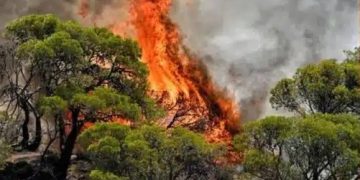 Alldaynews.gr Φωτιά στην Καρυά Ολύμπου