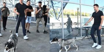 Alldaynews.gr Ο Στέφανος Κασσελάκης υιοθέτησε πυρόπληκτο σκύλο