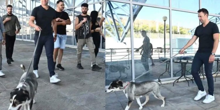 Alldaynews.gr Ο Στέφανος Κασσελάκης υιοθέτησε πυρόπληκτο σκύλο