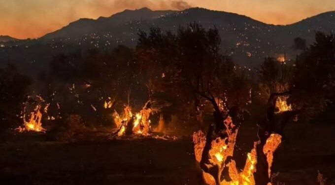 Ενισχύσεις από Αθήνα για τη μεγάλη φωτιά που καίει ανεξέλεγκτη – Ριπές ανέμων 7-8 μποφόρ (video)