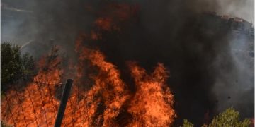 Εφιάλτης δίχως τέλος: Ξέσπασε πριν λίγο ξανά μεγάλη και επικίνδυνη φωτιά – Καίγεται το δάσος μεγάλης πόλης της Ελλάδας