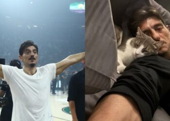 Ανατριχιαστικό βίντεο: Αυτοκίνητο πατά τον γάτο του Δημήτρη Γιαννακόπουλου και τον εγκαταλείπει!