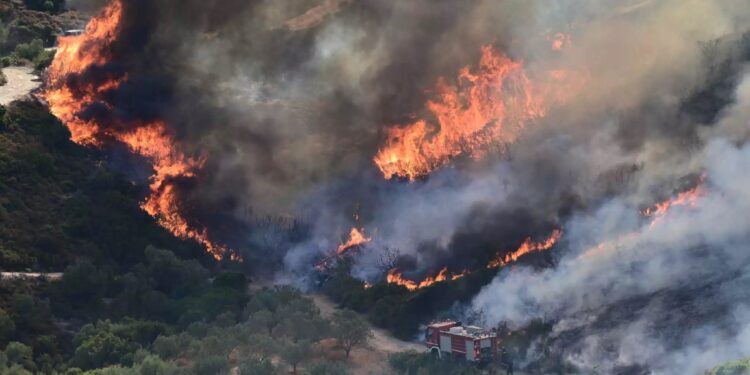 ΕΚΤΑΚΤΟ- Μεγάλη Αναζωπύρωση: Τούμπαρε σε χαράδρα πυροσβεστικό όχημα που έσπευσε για τη φωτιά στην Εύβοια – Τραυματίστηκε ο οδηγός
