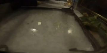 Alldaynews.gr Εμφανίστηκαν και φέτος τα φιδάκια της Παναγίας στην Κεφαλονιά – Βίντεο