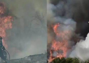 Εθνική τραγωδία στη χώρα – Κάηκαν 100.000 στρέμματα και πάνω από 300.000 ζώα