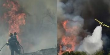 Εθνική τραγωδία στη χώρα – Κάηκαν 100.000 στρέμματα και πάνω από 300.000 ζώα