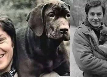 Αλεν Ντελόν: Ο λόγος που φορούσε πάντα στρατιωτικό μπουφάν